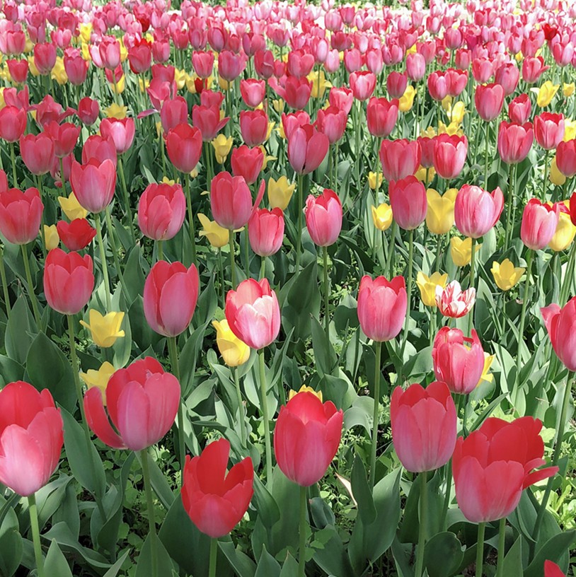 1559290183372967.jpg 3_副本.jpg