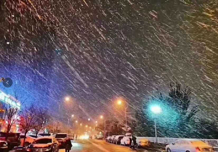 1575449306546819.png 入冬的第一场雪_副本.png