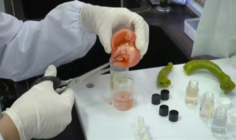 1648805651873018.jpg 微信图片_20220317114513_副本.jpg