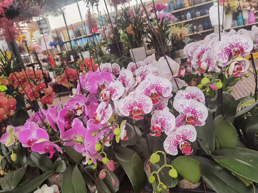 1682501993671312.jpg 微信图片_20230222171017_副本.jpg