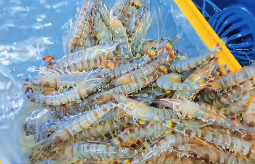 1691464848736978.png 3_副本.png