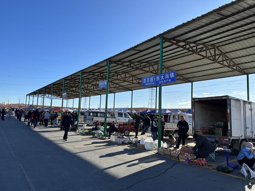 1699266576497817.jpg 微信图片_20231020163752_副本.jpg