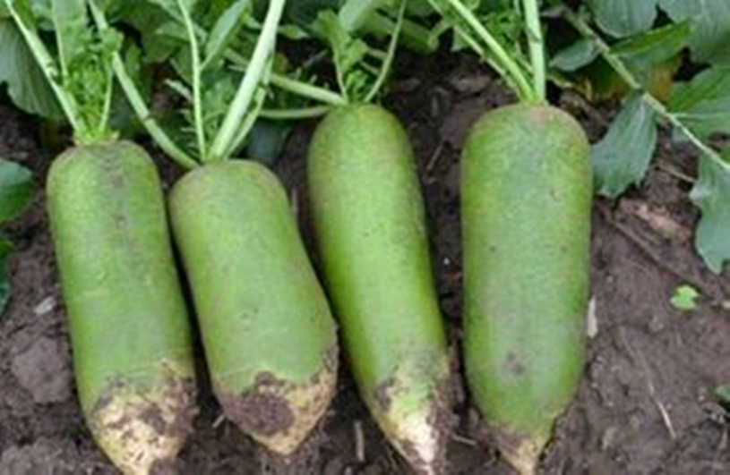 1701405453782203.png 微信图片_20231127182846_副本.png